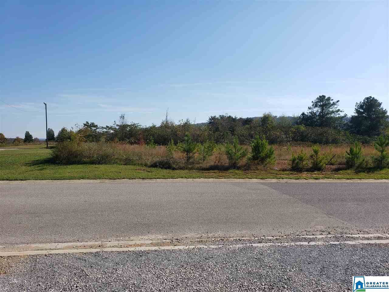 6 Purple Heart Blvd - Photo 1