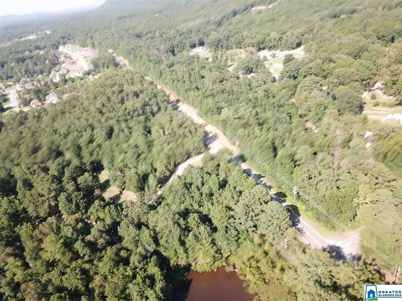 1200 Dunnavant Valley Rd - Photo 1