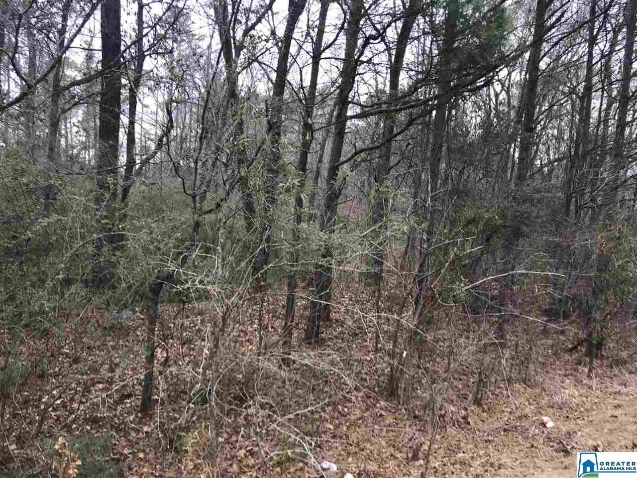 Lot 12 Renfroe Rd - Photo 1 Lot 12 Renfroe Rd - Photo 1