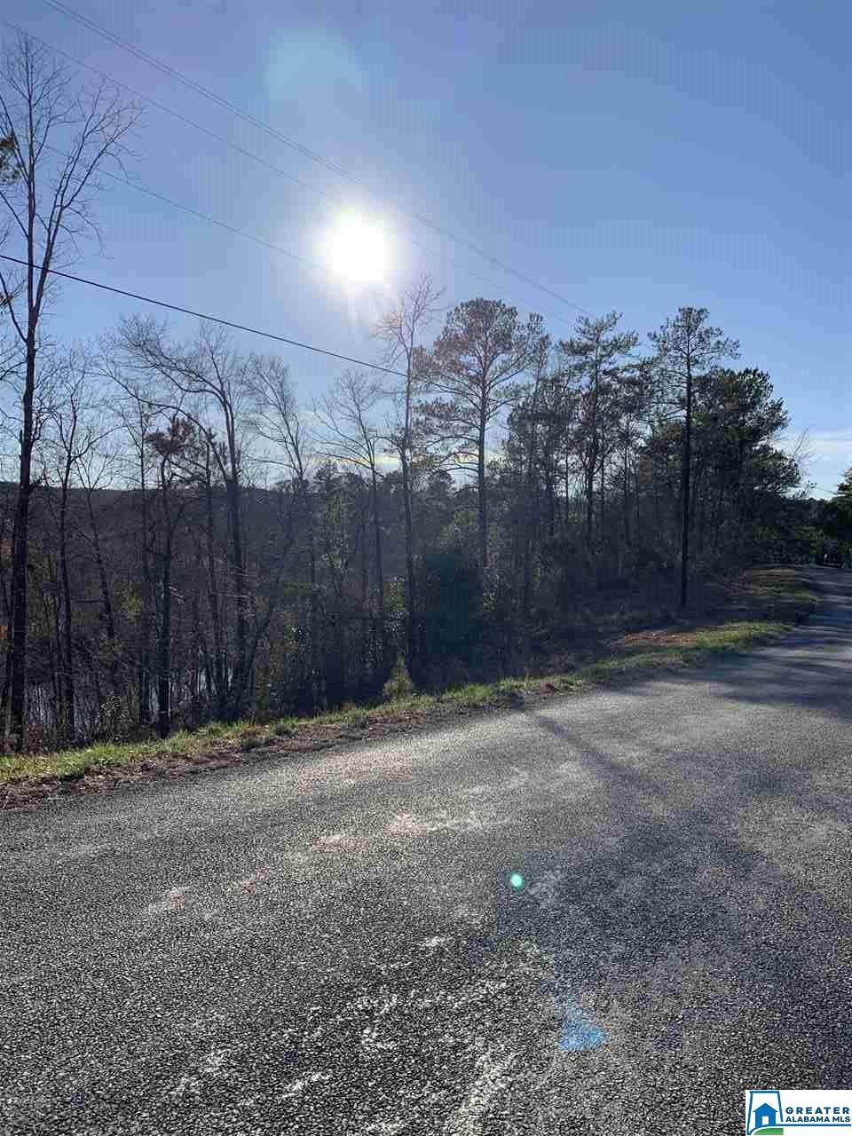 1084 Co Rd 249 - Photo 1