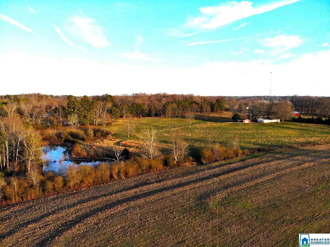 1385 Co Rd 1127 - Photo 1