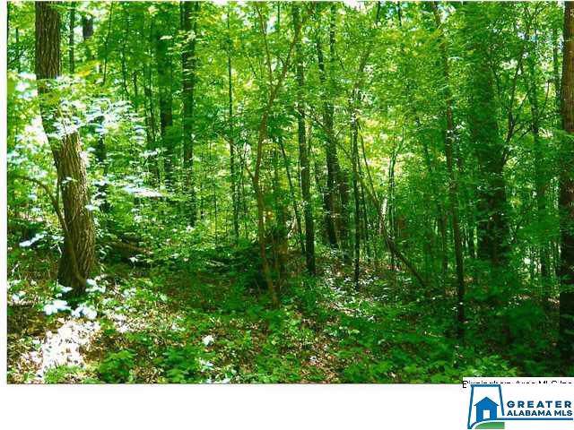 200 Lakeview Crest Dr - Photo 1