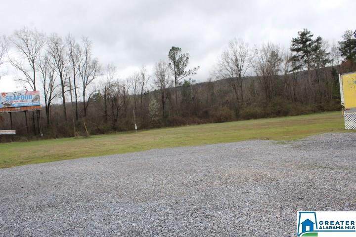 0 Hwy 280 - Photo 1