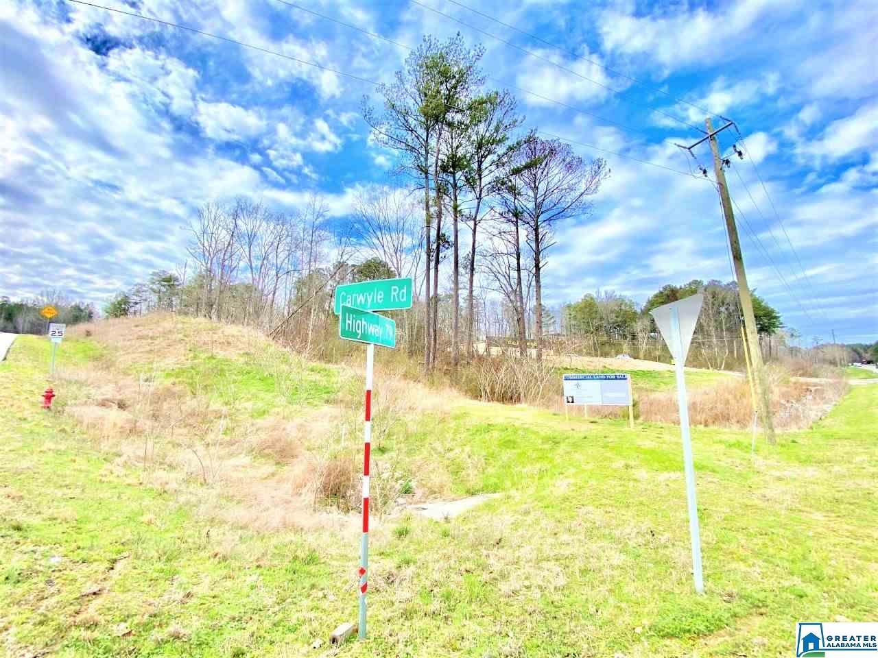 8256 Hwy 79 - Photo 1