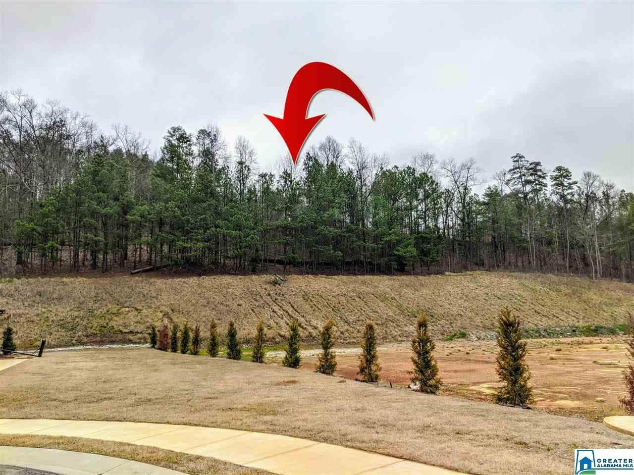 4449 Eagle Point Dr - Photo 1