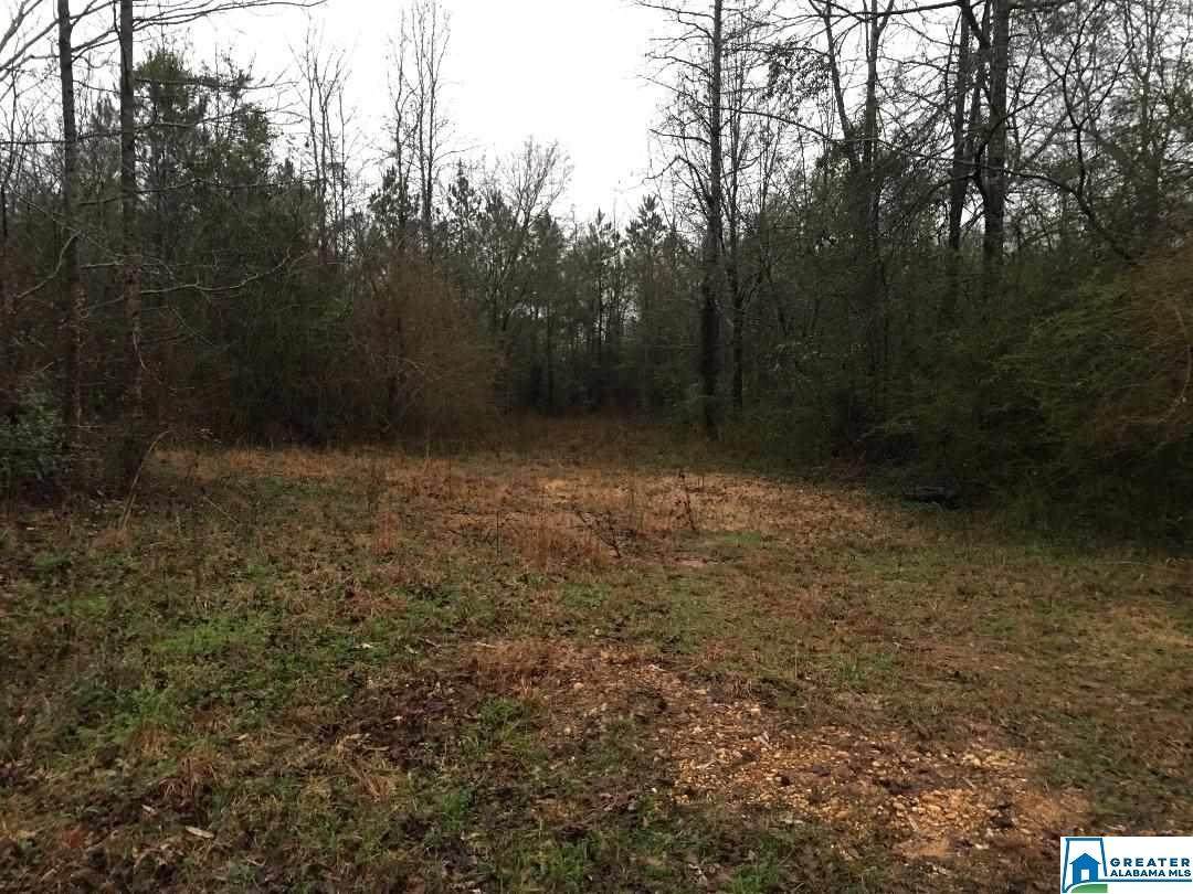 0 Co Rd 514 - Photo 1