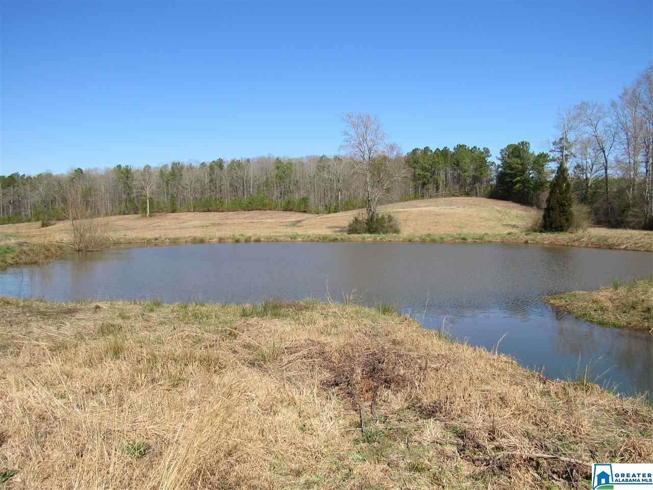 500 Co Rd 19 - Photo 1