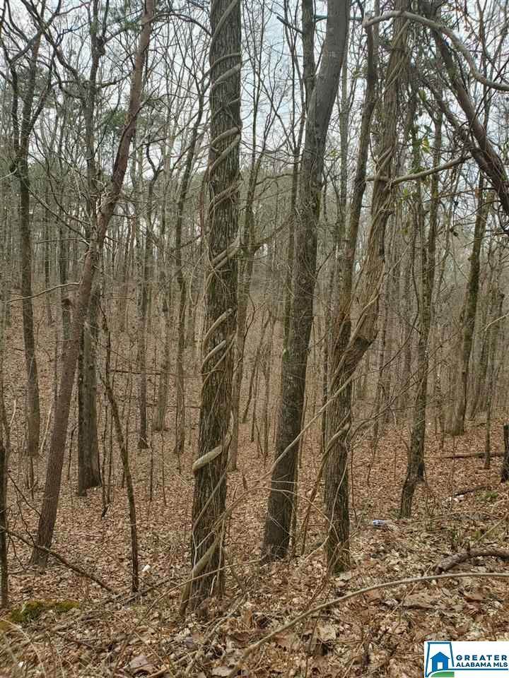 6120 Huckleberry Ln - Photo 1