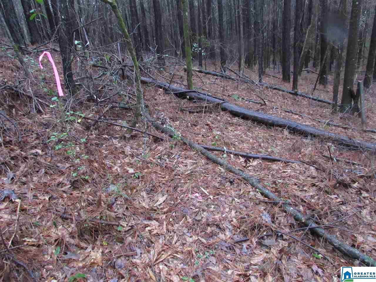 0 Kirksey Rd - Photo 1