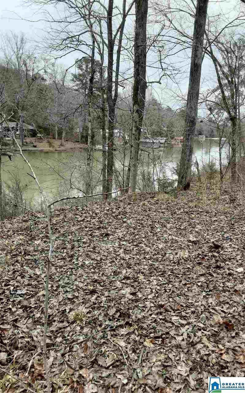00 Richardson Subdivision Rd - Photo 1