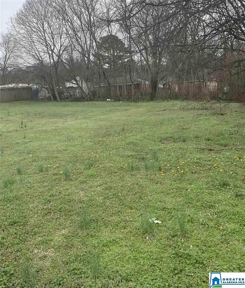 4129 Mineral Ave - Photo 1