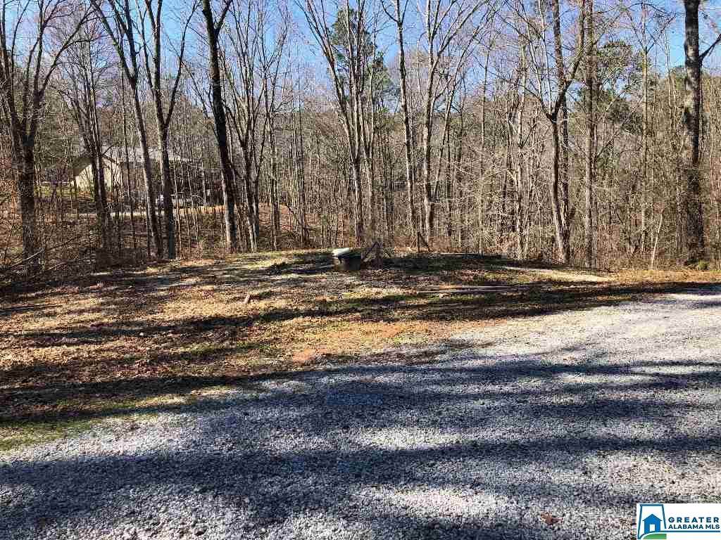 Roberts Cir - Photo 1