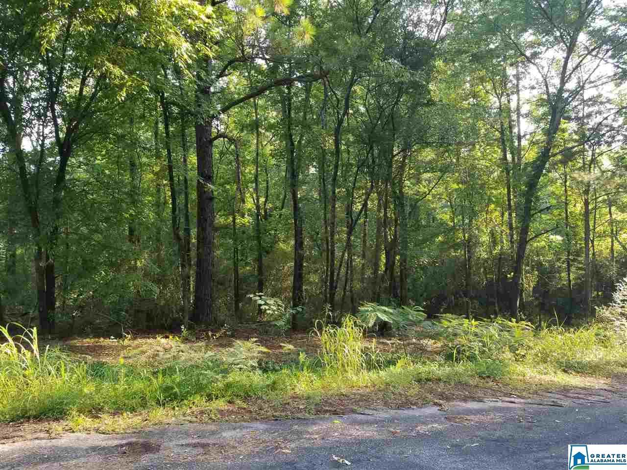 7005 Bankhead Hwy - Photo 1