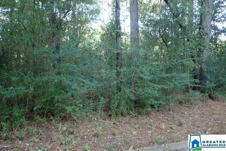 Sedgefield Dr - Photo 1