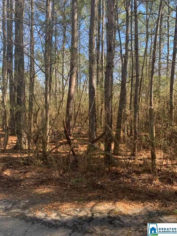 2081 Kimbrell Dr - Photo 1 2081 Kimbrell Dr - Photo 1