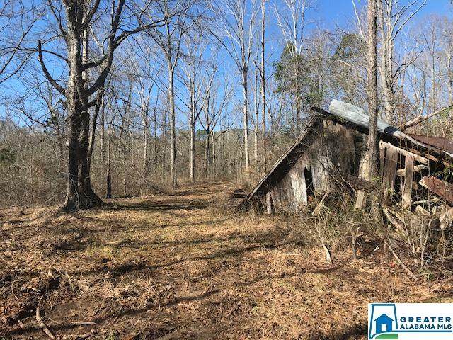 1001 Co Rd 11 - Photo 1