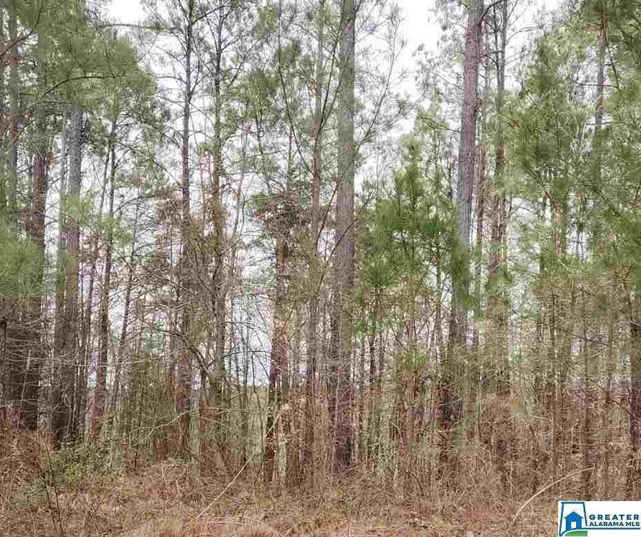 1140 Toadvine Rd - Photo 1 1140 Toadvine Rd - Photo 1