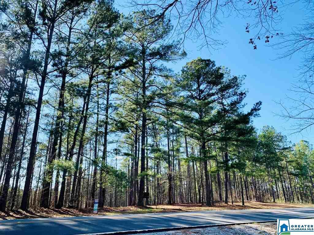 Co Rd 51 - Photo 1