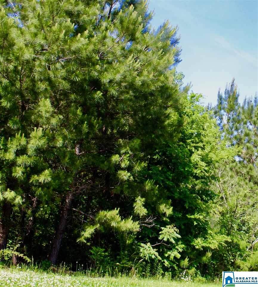 101 Double Oak Rd - Photo 1