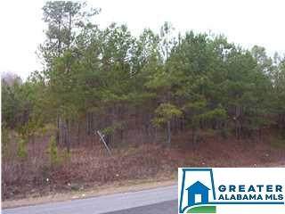 Logan Martin Dam Rd - Photo 1