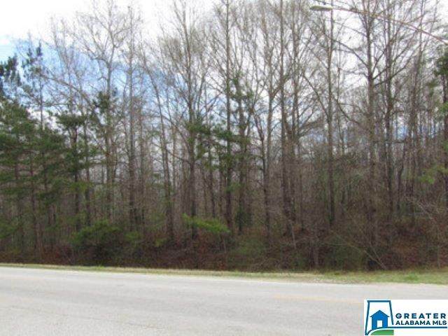 Hwy 431 - Photo 1