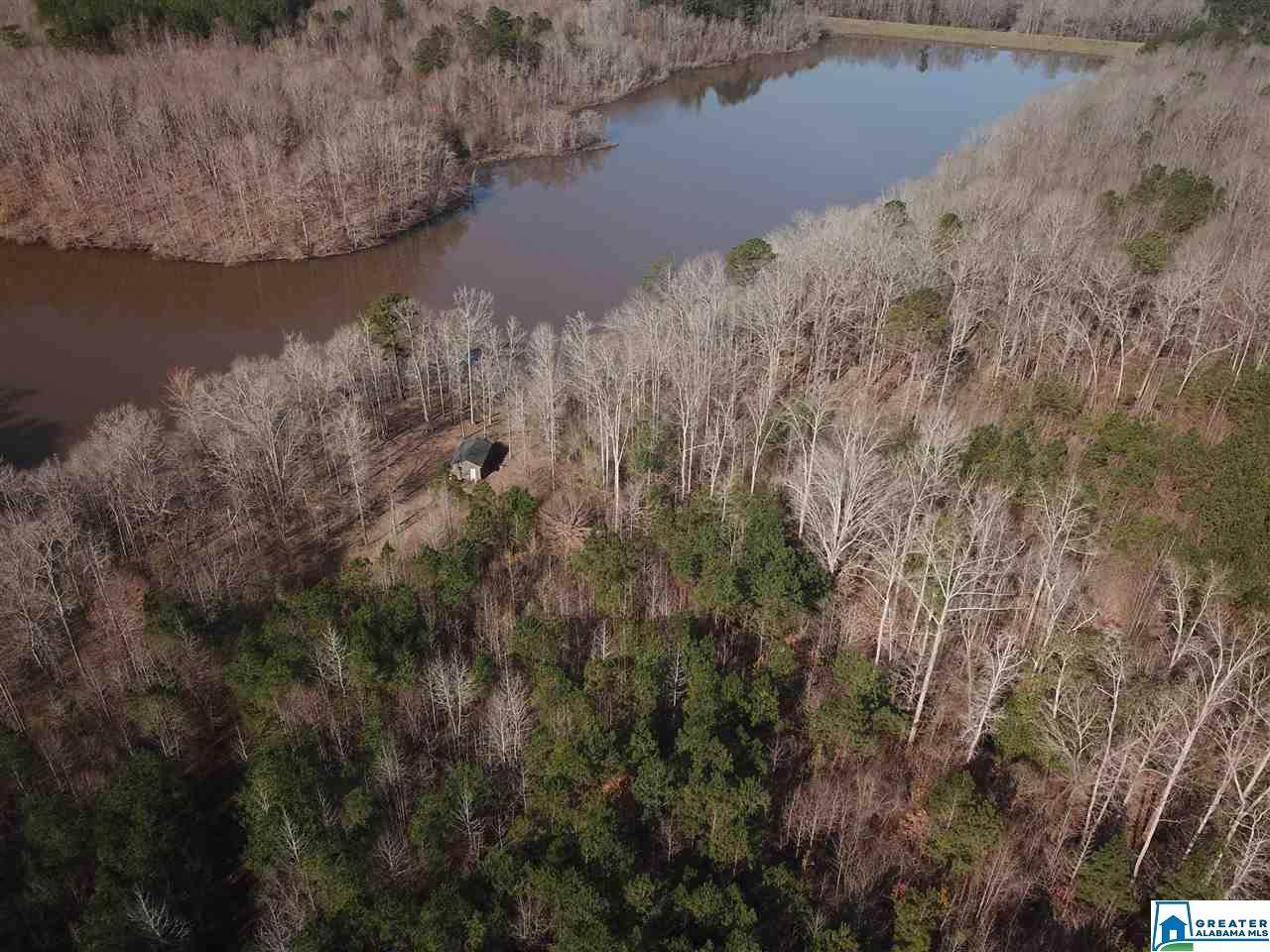 0 Co Rd 238 - Photo 1 0 Co Rd 238 - Photo 1