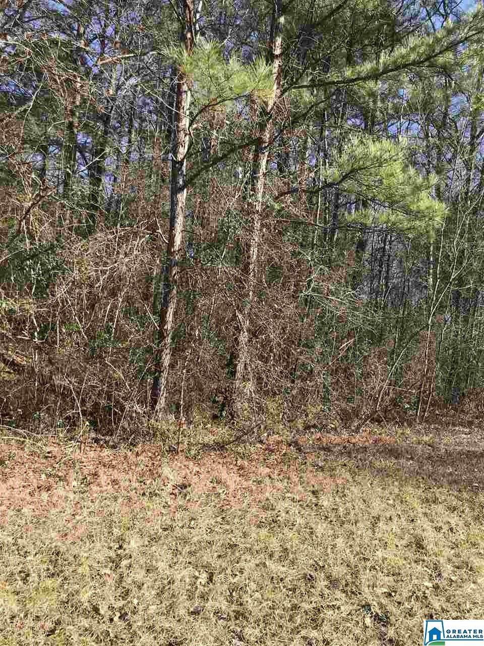 Oak Lane Cir - Photo 1