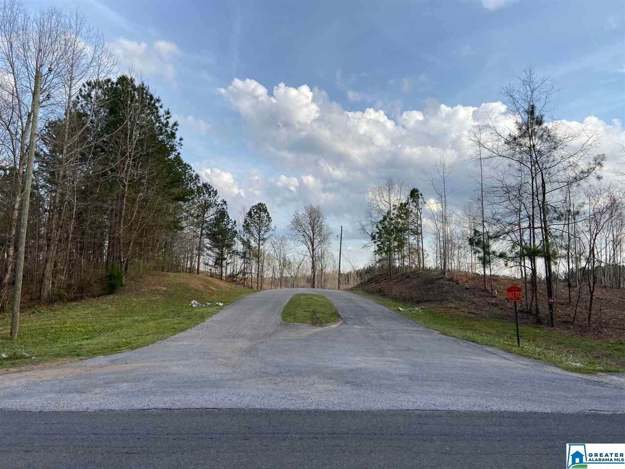 87 Co Rd 1070 - Photo 1