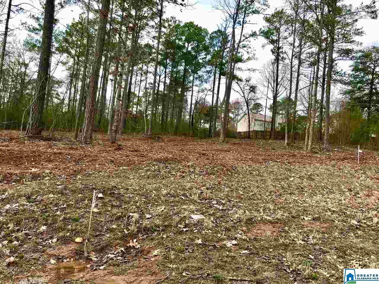 7890 Saddlewood Dr - Photo 1 7890 Saddlewood Dr - Photo 1
