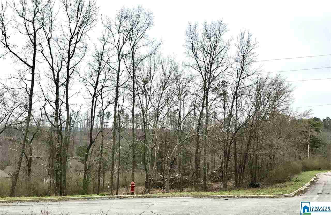 7903 Saddlewood Dr - Photo 1 7903 Saddlewood Dr - Photo 1