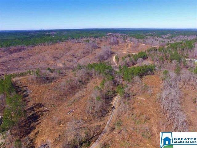 0 Co Rd 199 - Photo 1