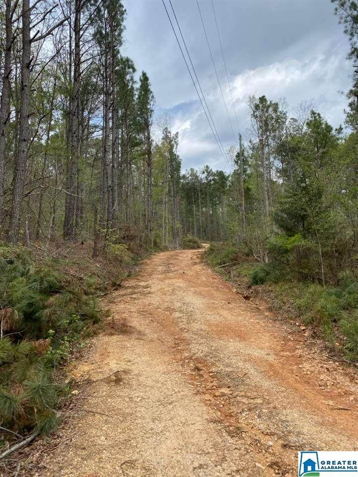 0 Blackjack Road - Photo 1