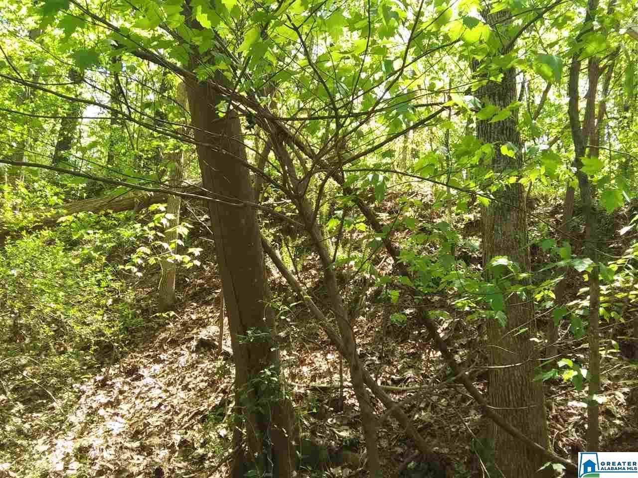 331 Beech St - Photo 1