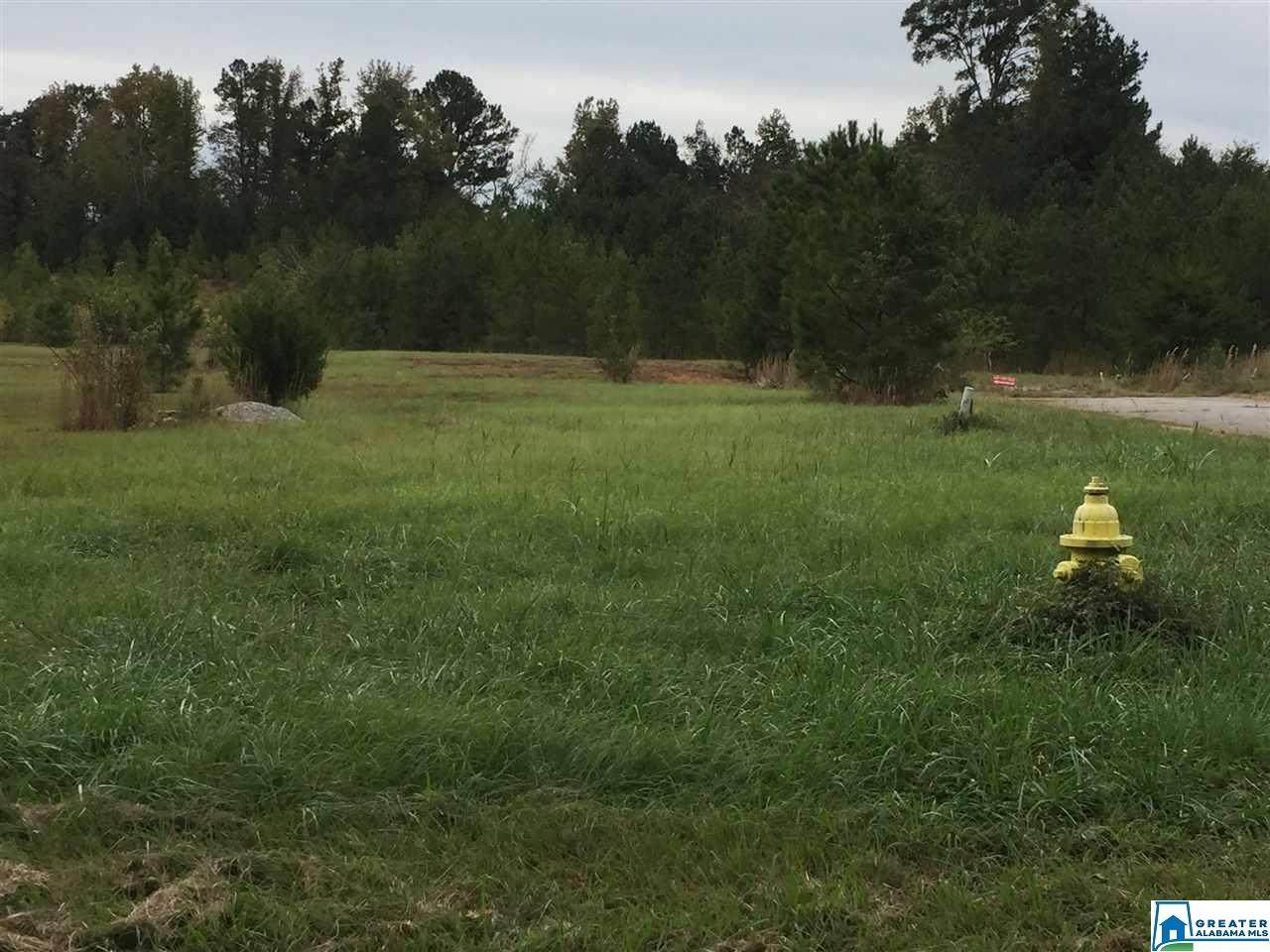 lot 36 Whippoorwill Ln - Photo 1