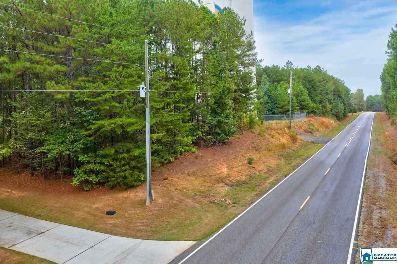 Lot 141 Hwy 42 - Photo 1