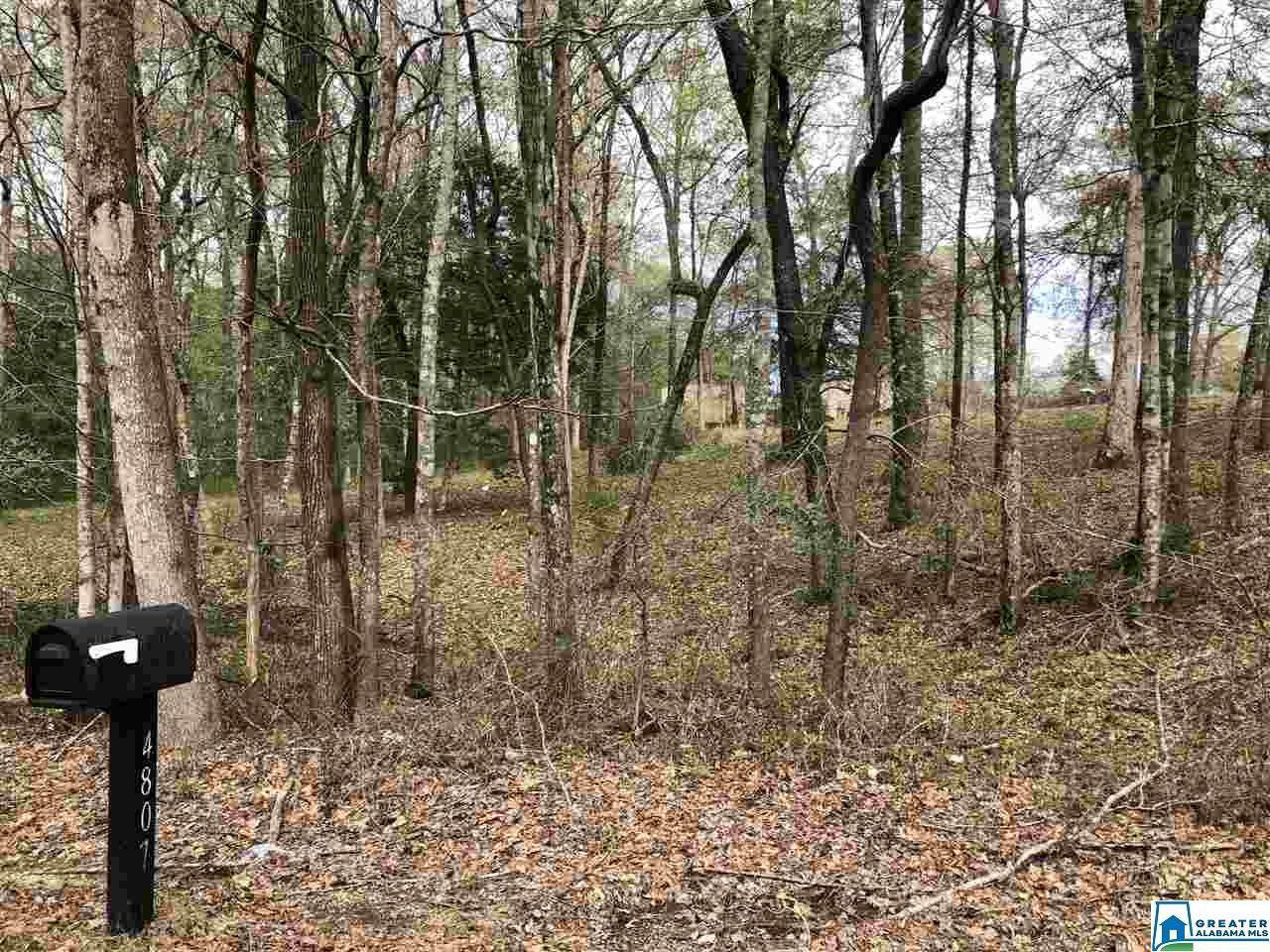 4807 Carolina Dr - Photo 1