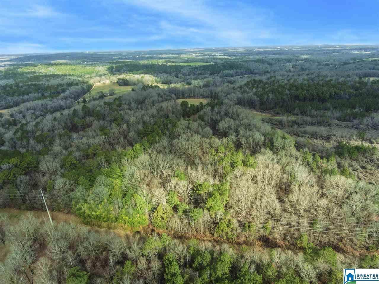 0 Spring Creek Rd - Photo 1 0 Spring Creek Rd - Photo 1