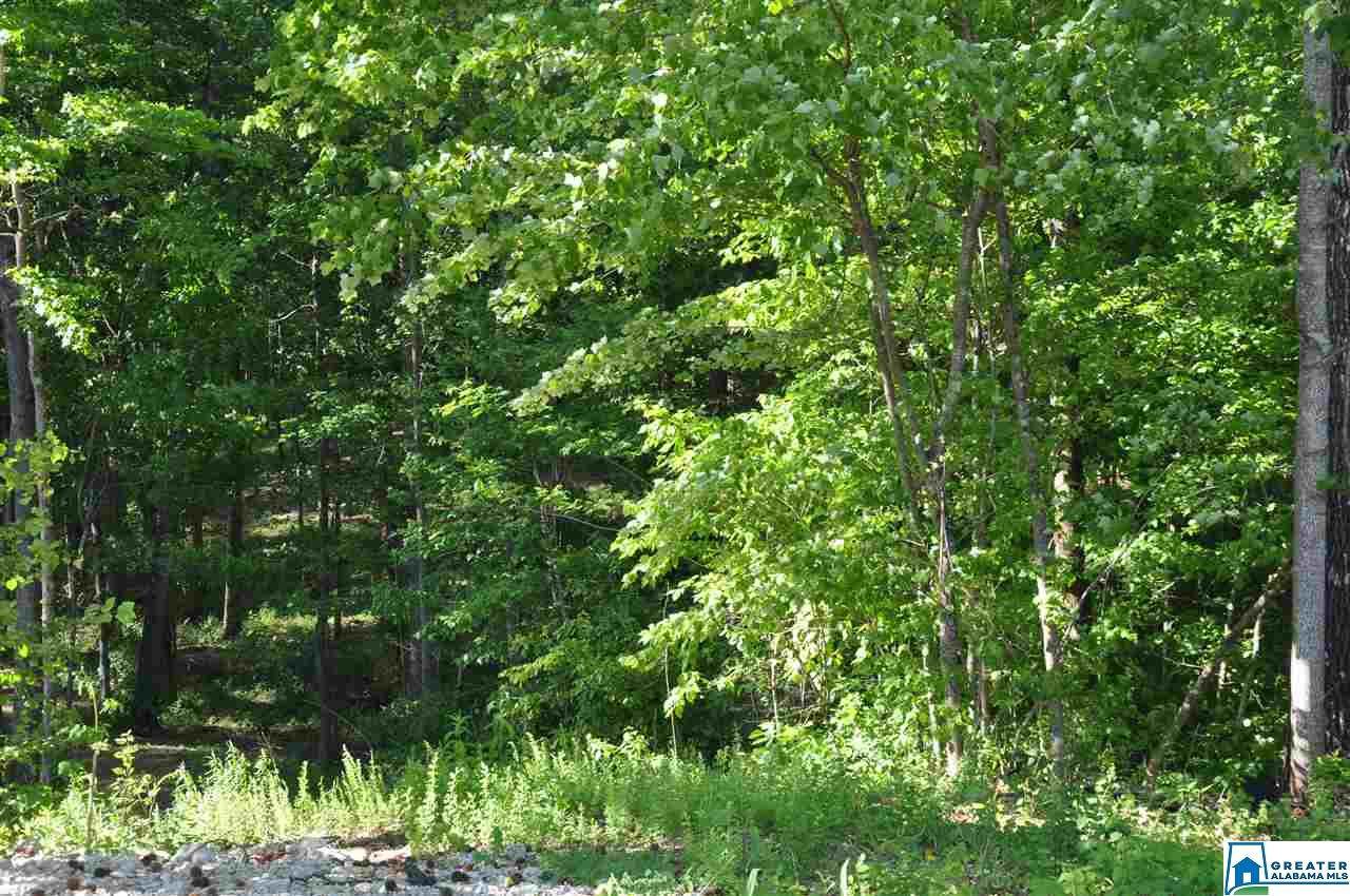 1462 Acorn Way - Photo 1 1462 Acorn Way - Photo 1