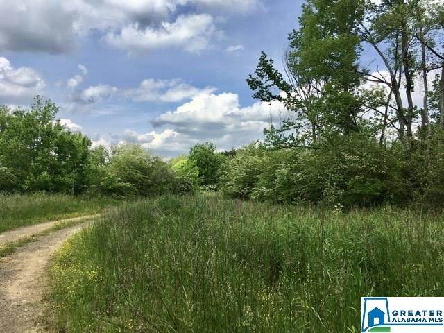 8802 Gadsden Hwy - Photo 1