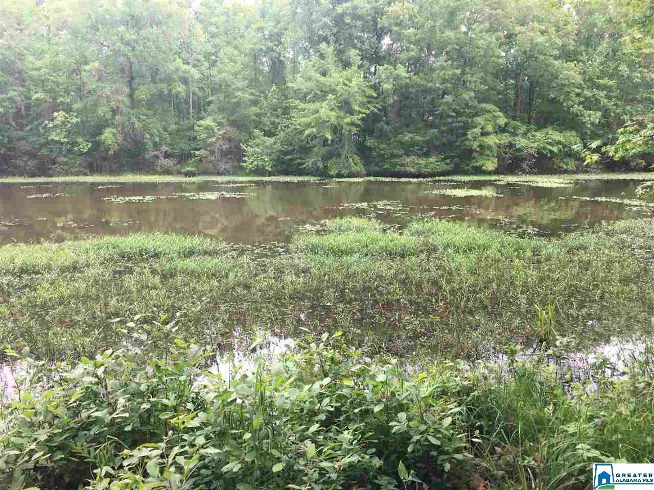 53 Summers Bend - Photo 1