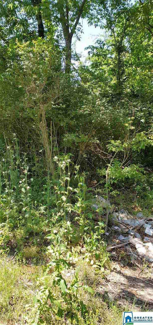 5120 30TH WAY - Photo 1