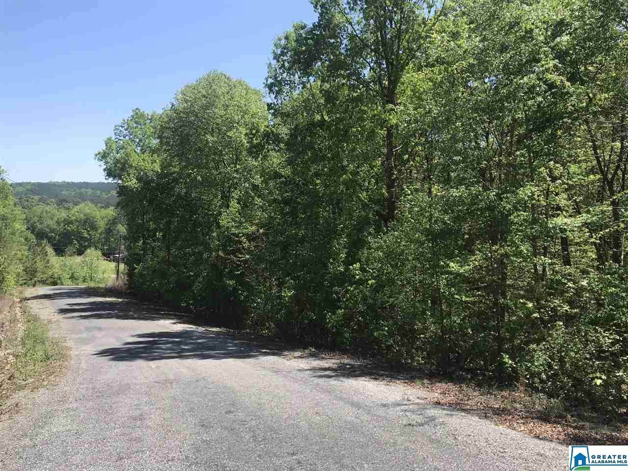 000 Shoal Crest Dr - Photo 1