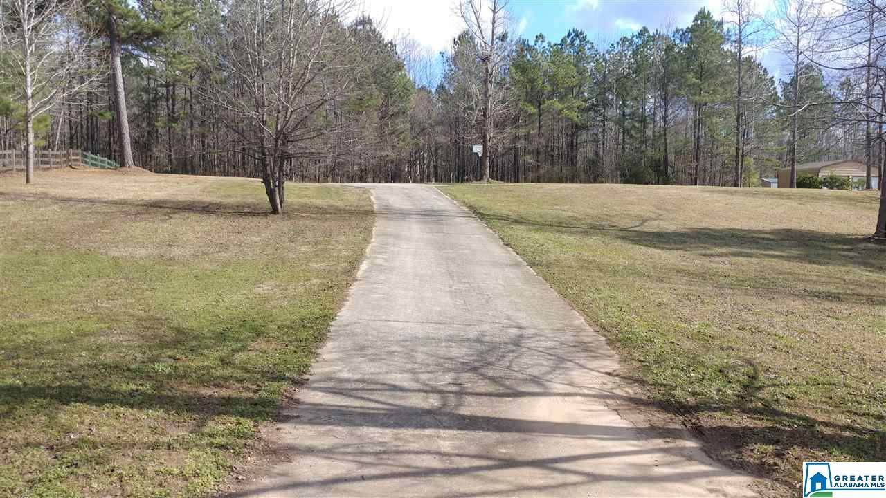 1161 Buena Vista Dr - Photo 1