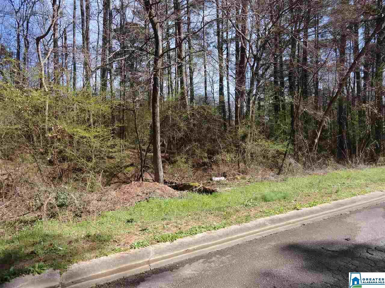 5002 Issac Ln - Photo 1