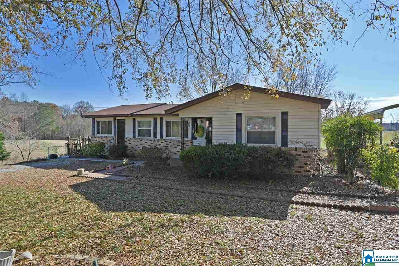 11797 Co Rd 222 - Photo 1