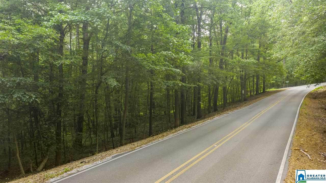 7211 Goodner Mtn Rd - Photo 1