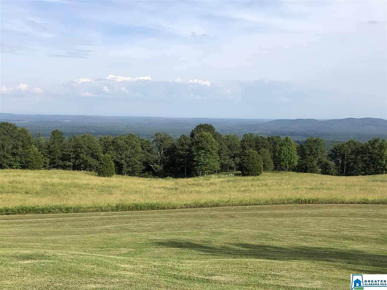 5481 Co Rd 24 - Photo 1