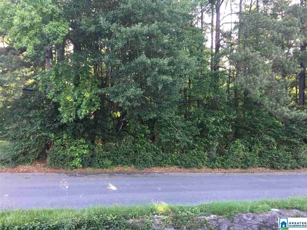 3132 Old Columbiana Rd - Photo 1