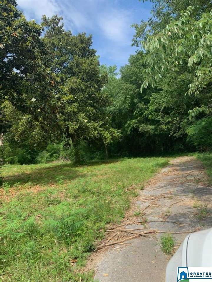 0 Skipper Hill Ln - Photo 1