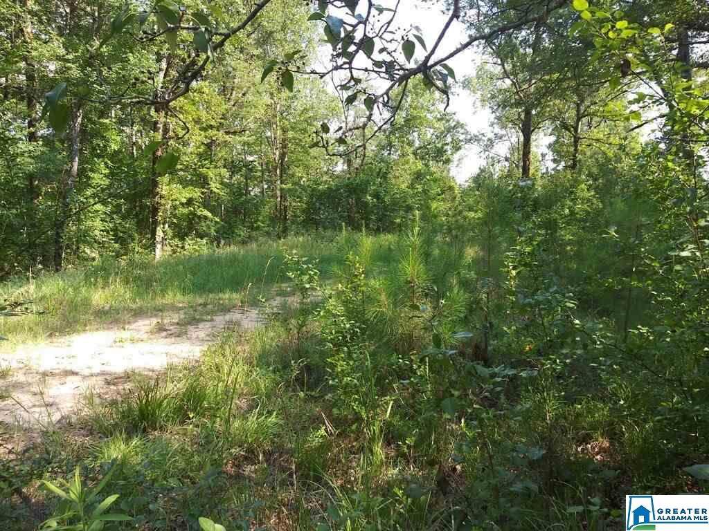Co Rd 111 - Photo 1